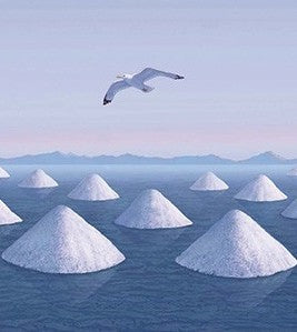 Fior di Salina