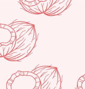 Cocco