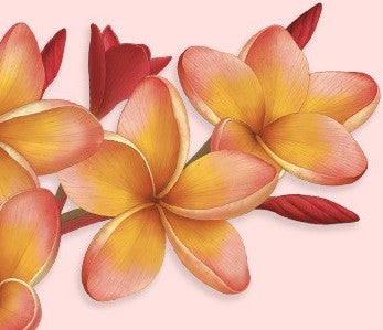 Frangipani