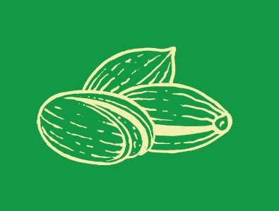 Pistacchio