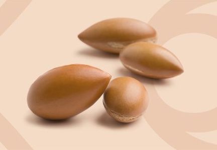 All'0lio di Argan