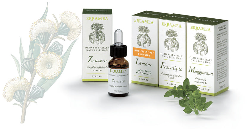 Oli essenziali alimentari - Erbamea