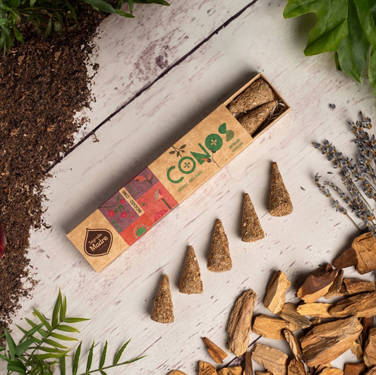 Incenso coni: Pachuli - Palo Santo