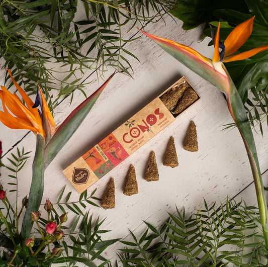Incenso coni: Calendula - Rosmarino