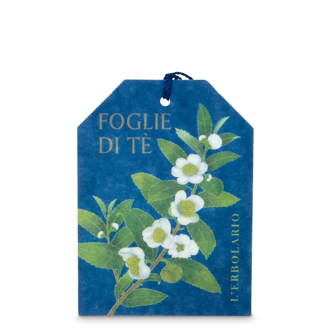 Filtro Multiuso Foglie di Tè