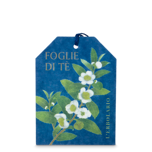Filtro Multiuso Foglie di Tè