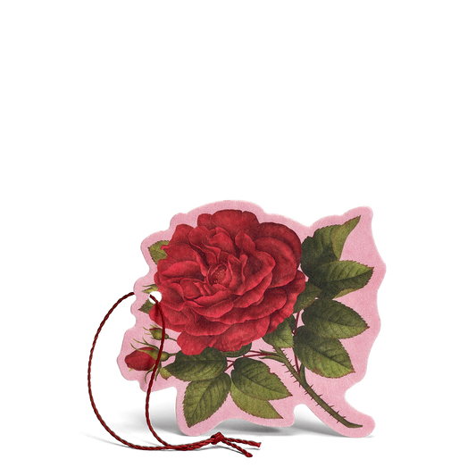 Fiore Profumato Multiuso Rosa Purpurea