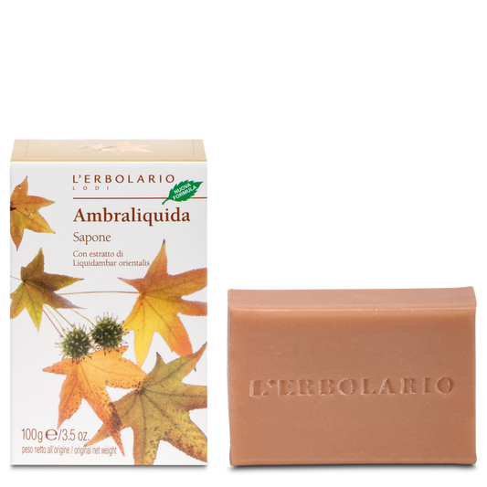 Sapone Ambraliquida 100 g